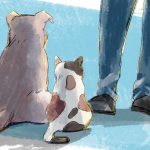 飼育放棄とは？入院・施設入居や経済難がきっかけに。高齢者とペットの問題や譲渡先について介護士であり保護活動家が解説