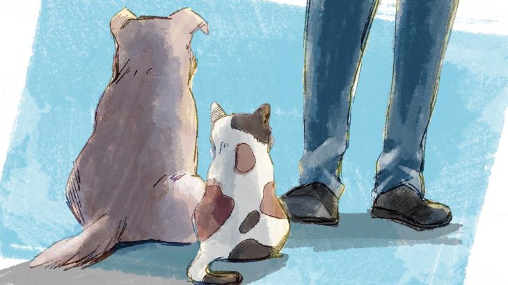 飼育放棄とは？入院・施設入居や経済難がきっかけに。高齢者とペットの問題や譲渡先について介護士であり保護活動家が解説